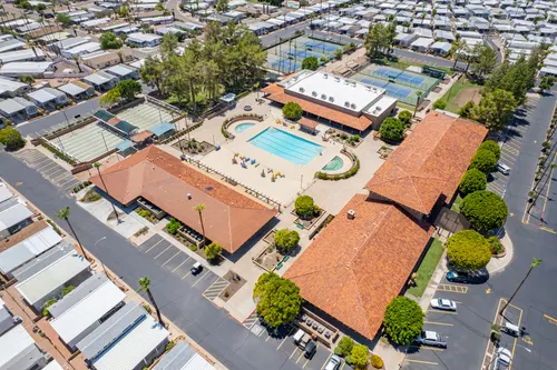 Arizona Citrus Grove in Mesa, Arizona